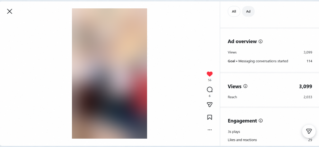Instagram Video Campaign: 3,099 Views and 114 Direct Messaging Inquiries
